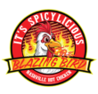 theblazingbird logo